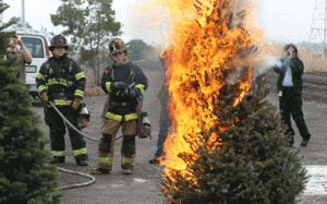 Robert Paul Realtor - Christmas Tree Fires In Pound Ridge NY